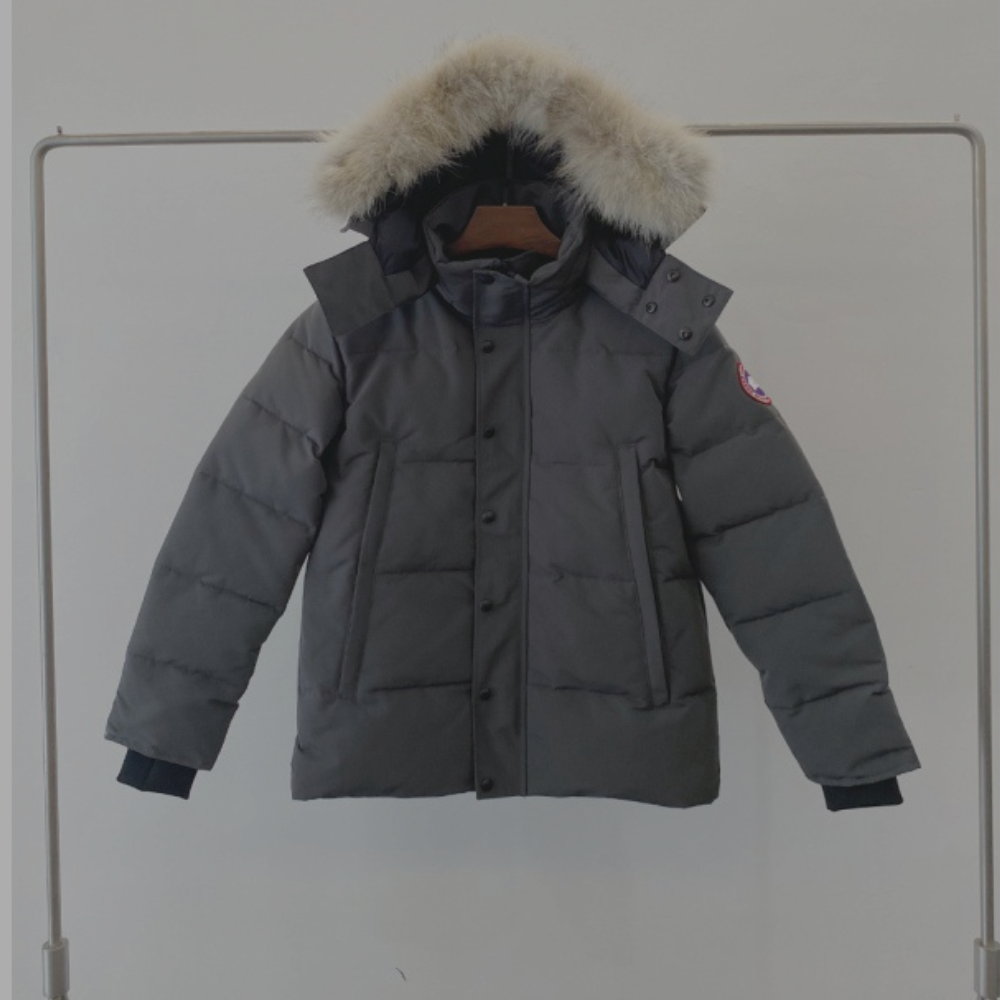 Canada Goose Puffer Jacket Fur Hoodie 'Grey'