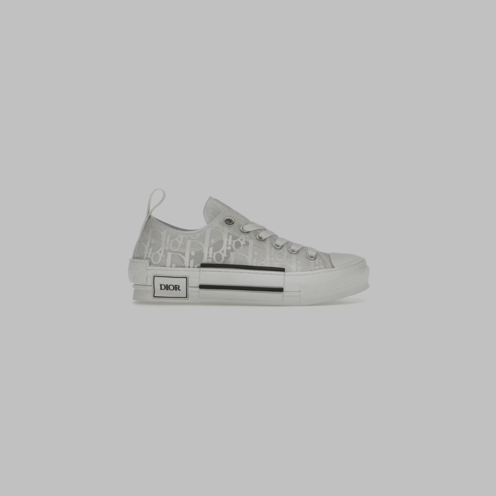 Dior B23s Low Oblique White