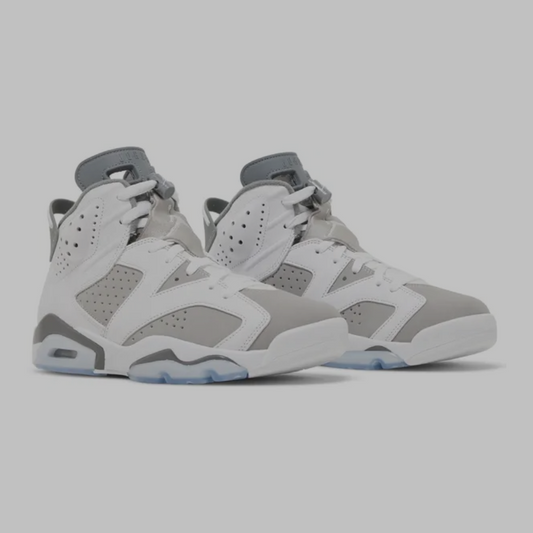 Jordan 6 Retro 'Cool Grey'