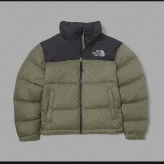 The North Face Puffer Jacket 'Green'