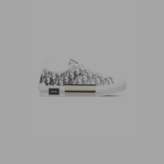 Dior B23s Low Oblique White/Grey