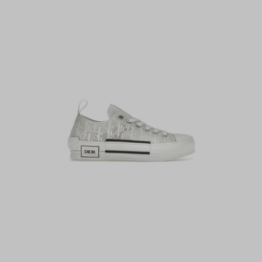 Dior B23s Low Oblique White